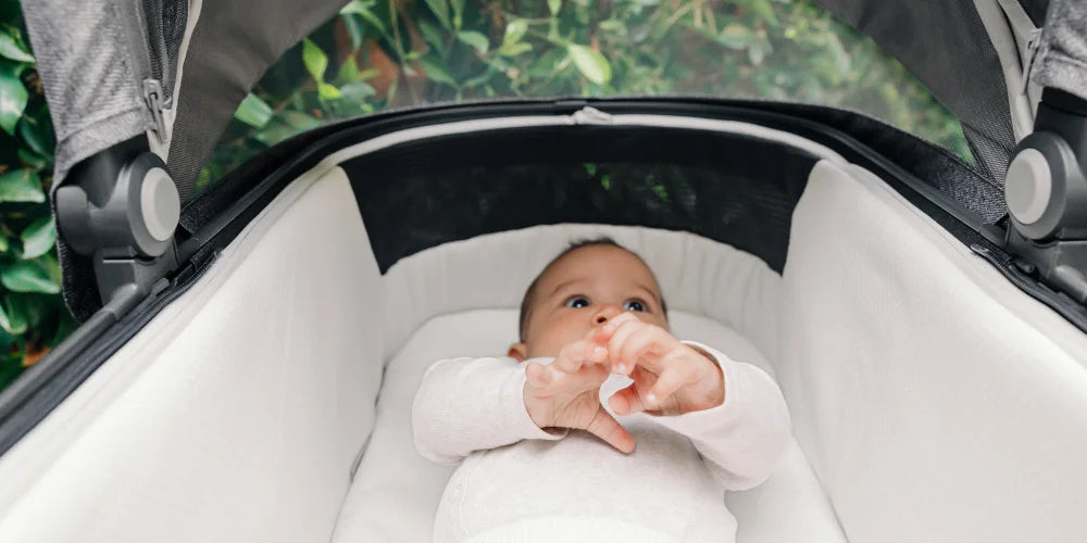 UPPAbaby Carrycot V3 – Safe, Flat-Lay Pram Accessory for Newborns – UPPAbaby Ireland