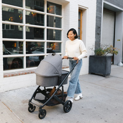 Carrycot V3
